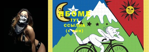 дурь Богданович