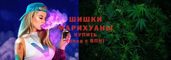 дурь Богданович