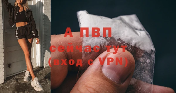 дурь Богданович