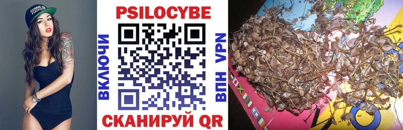 Псилоцибиновые грибы Cubensis  Дегтярск 
